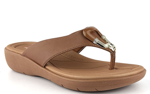 239032-Large - 
                    Brun
                    