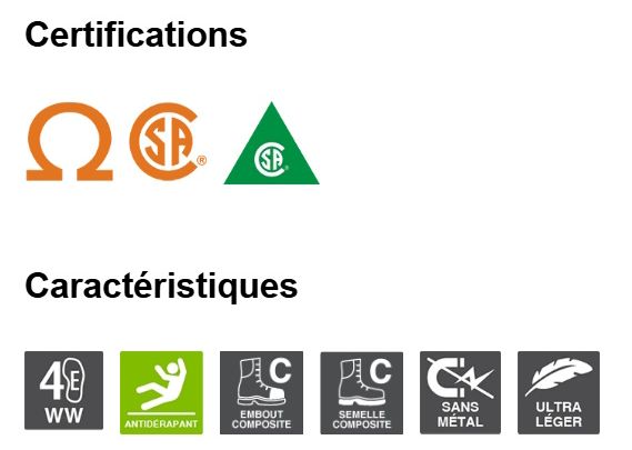 PROFUSION 2 SANS METAL (PROTECTEUR EN COMPOSITE) CSA-(4E)