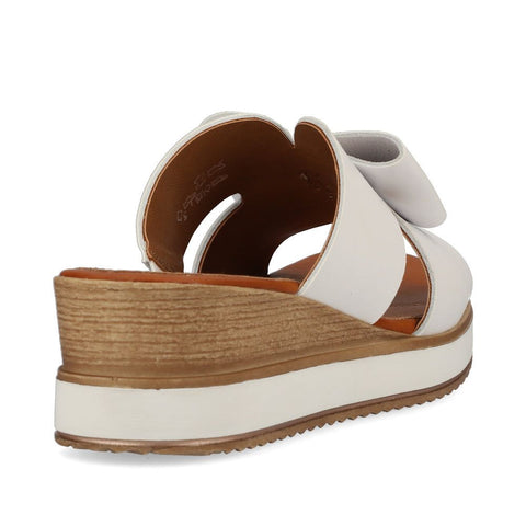 D6456-80-Medium