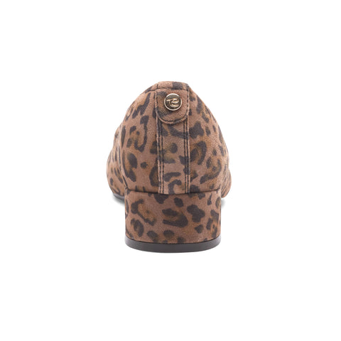 JAIN-Large
