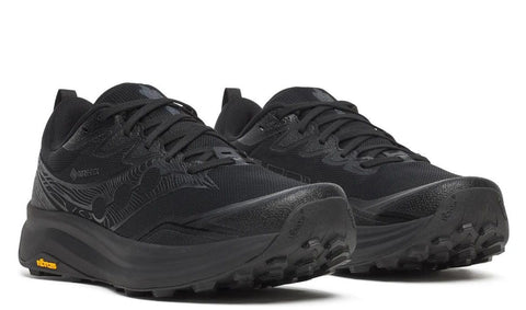 PEREGRINE 16 GTX (course sentier) imperméable-Medium - 
                    Noir
                    